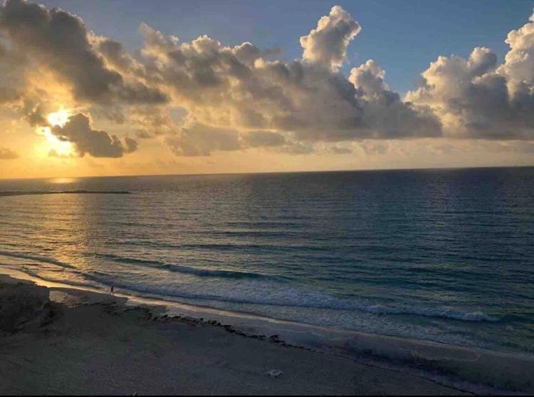 Studio Oceanfront Prime Location Cancún Eksteriør billede